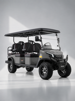 Kandi Kruiser 6Pro — Gray