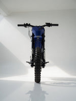 Rawrr Mantis Pup — Blue