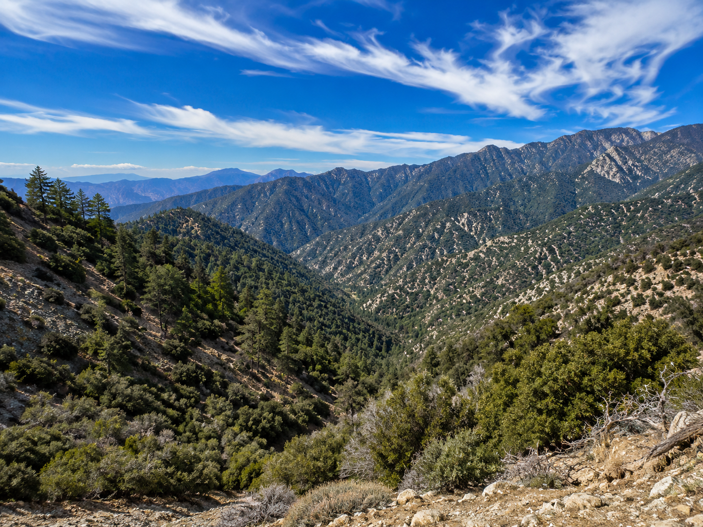 Angeles National Forest