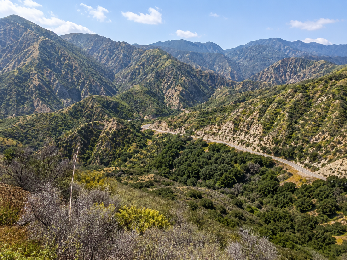 San Gabriel Mountains